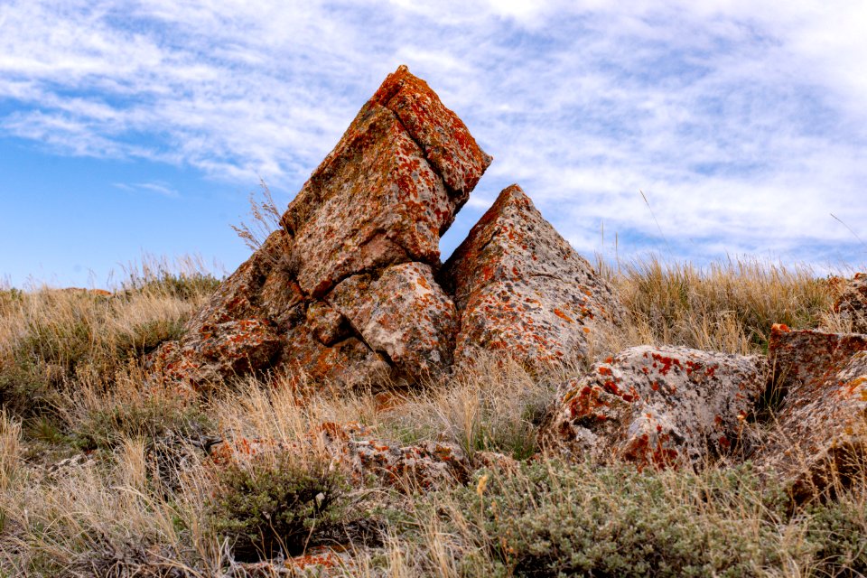 20200504 Pryor Mtns 193