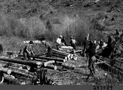 193403XX-FS-LOLO-KDS-287089