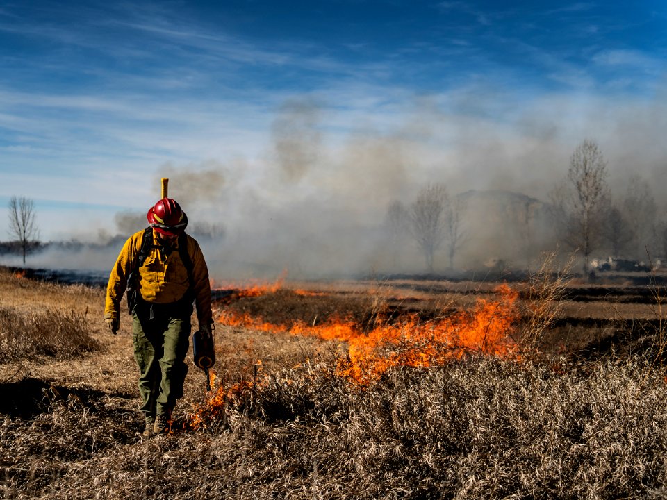 Pompeys Pillar Rx Burn