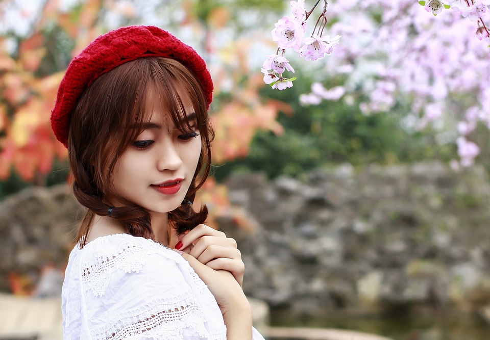 Flower cherry flowers spring shooting