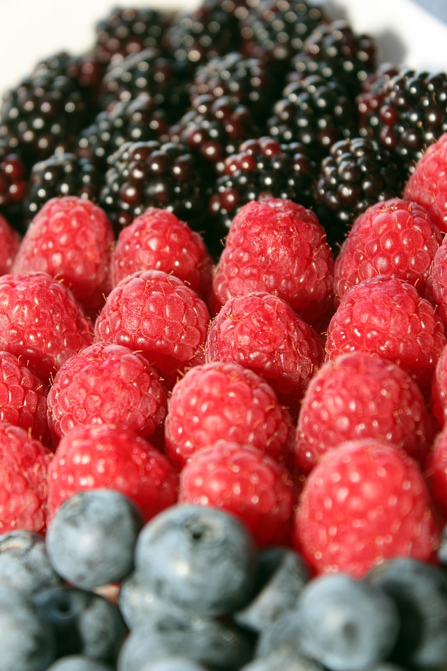 Blackberries blueberries dessert
