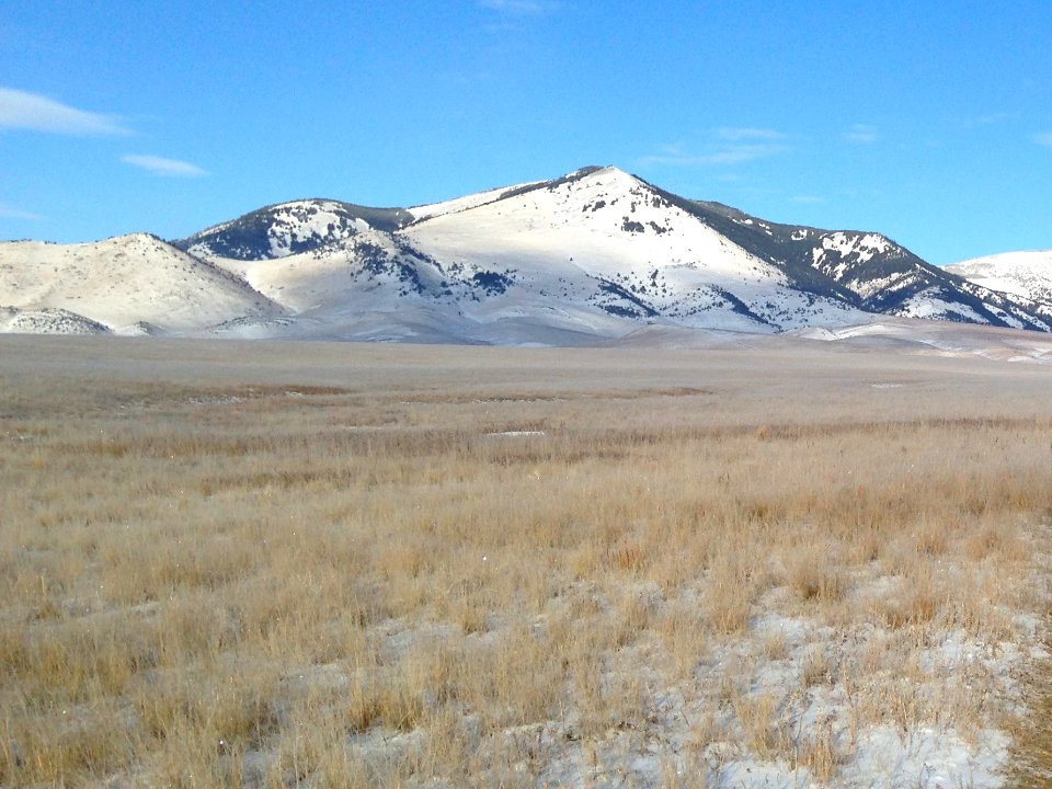 Sweet Grass Hills 1 JC MOOR
