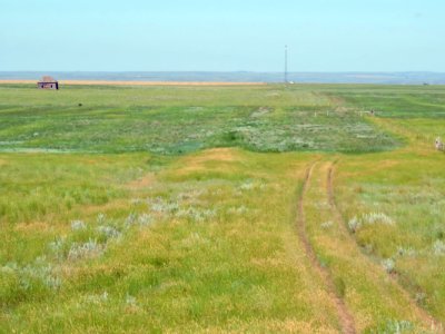 PHOTO 2 Crested Wheatgrass Conversion by BLM Glasgow 2016 JCMOOR
