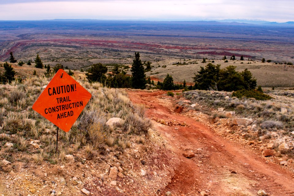 20200504 Pryor Mtns 29