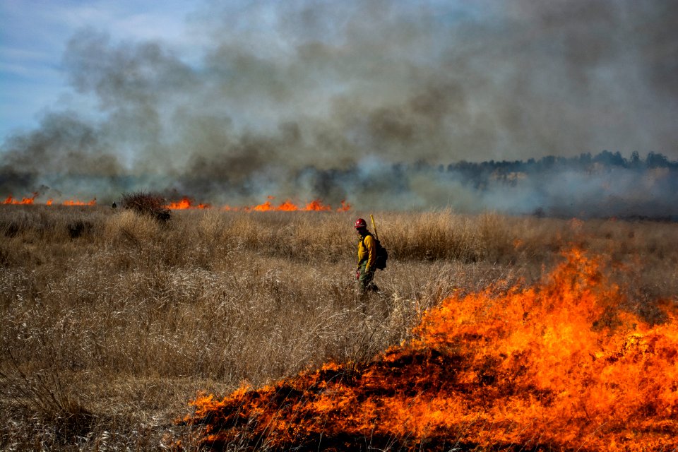 Pompeys Pillar Rx Burn March 2020