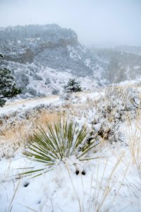 Four Dances Natural Area, Billings, Montana