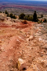 20200504 Pryor Mtns 98