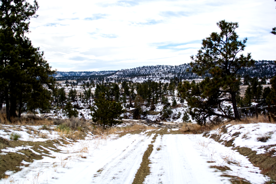 Acton Recreation Area