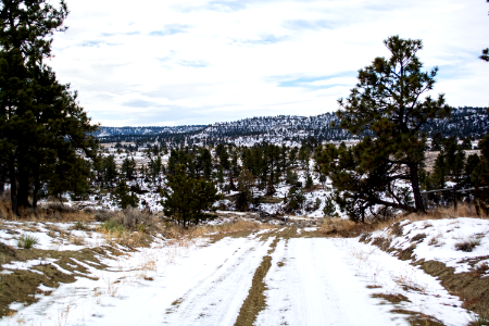 Acton Recreation Area
