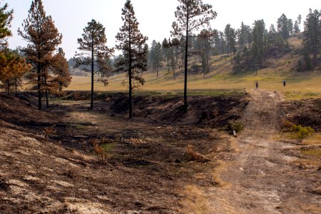 Bobcat Fire 2020