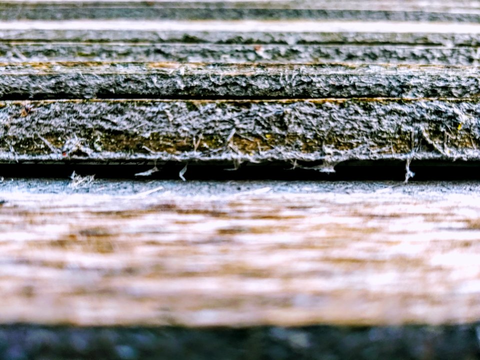 poplar boards
