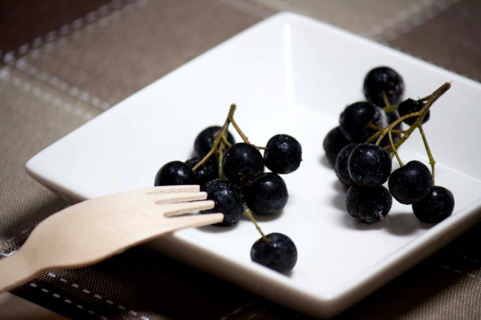 Aronia Choke-berry 아로니아 초크베리 (3)