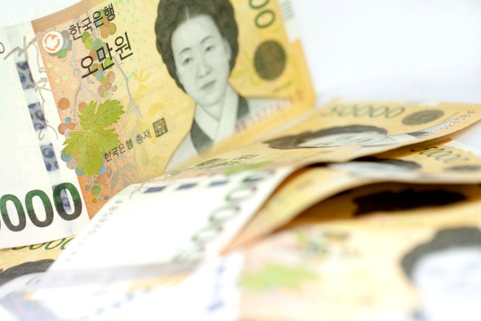 현금 5만원 돈 지폐 화폐 Cash Money
