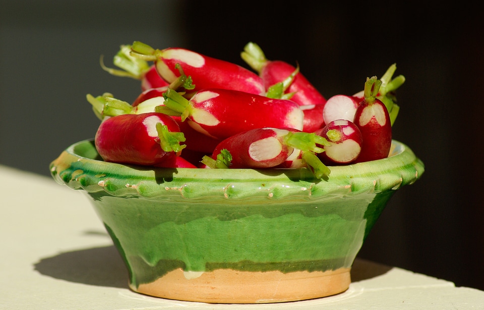 Radish vegetables garden