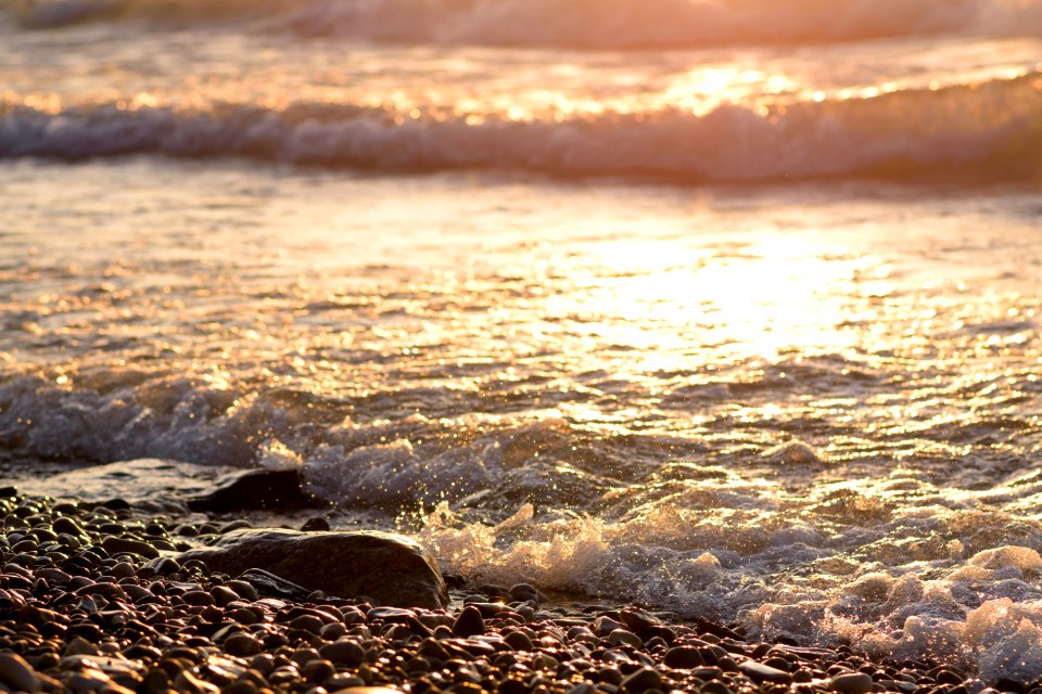 golden waves