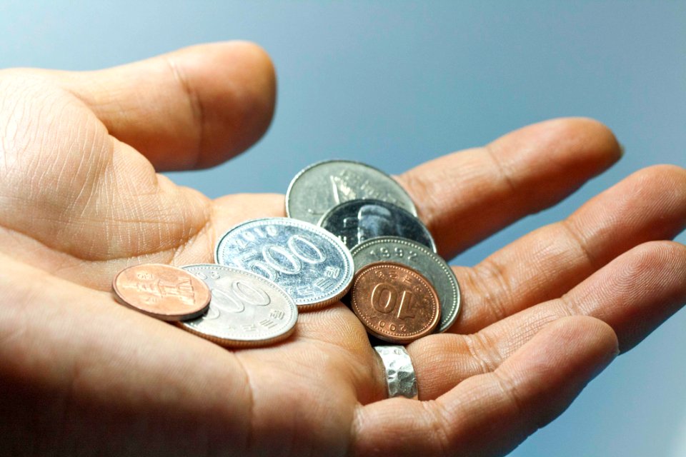 한국 동전 돈 잔돈 Korea penny coin money