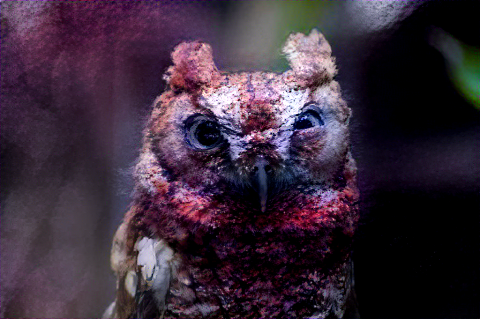 owl2-dark woods by tatasz-daqxh2y-2048-1.0-50.0