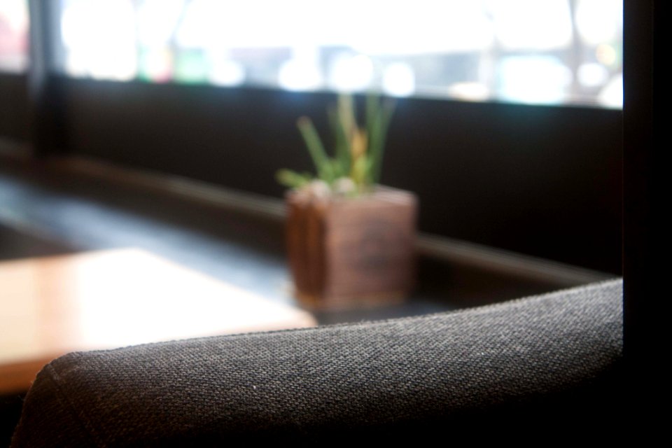 햇살 환한 창문 화분 Sunshine plants