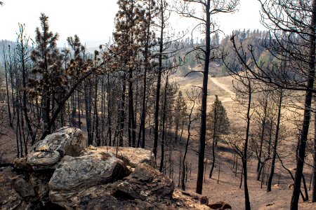 Bobcat Fire 2020