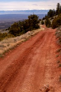 20200504 Pryor Mtns 166