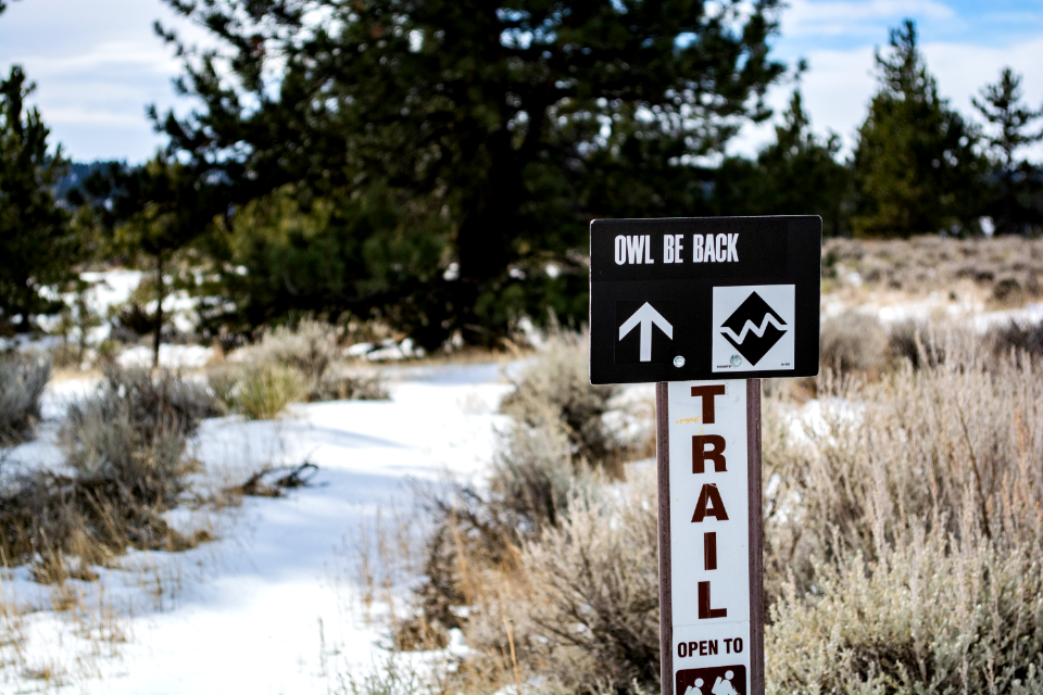 Acton Recreation Area