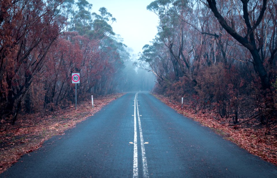 Sydney Fires Blue Mountains