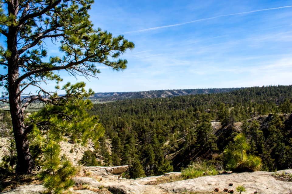 Acton Recreation Area