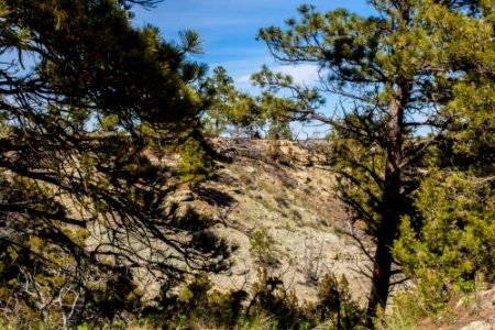 Acton Recreation Area
