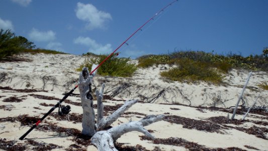 Barbuda