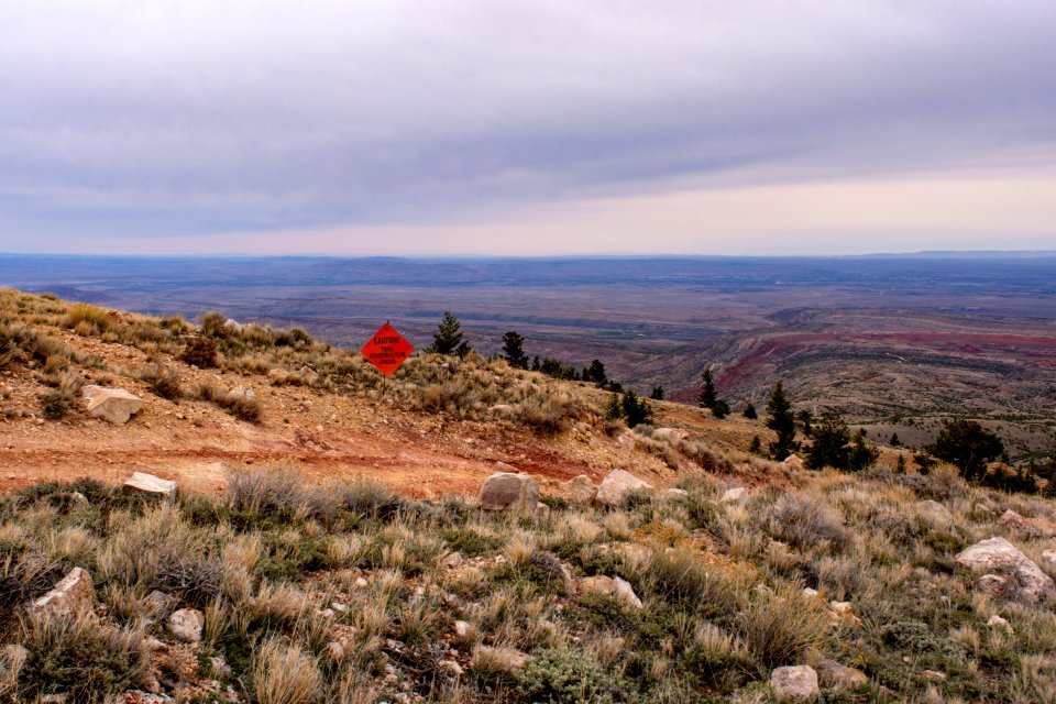 20200504 Pryor Mtns 34