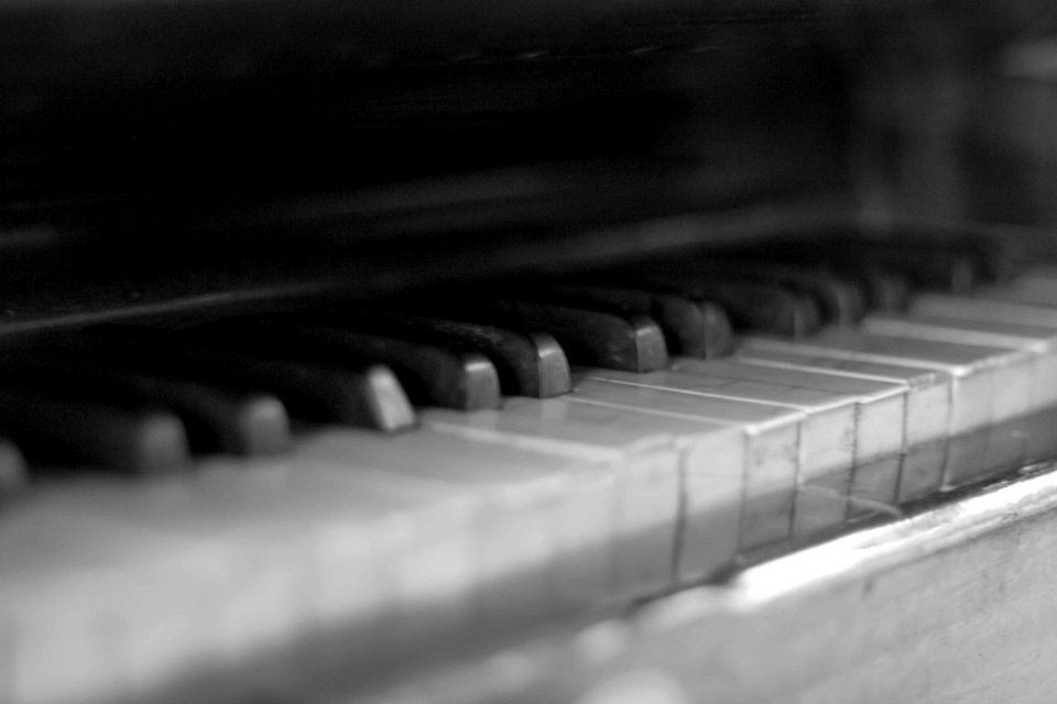 keyboard Organ 건반 피아노 흑백 CC0photo