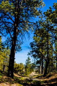 Acton Recreation Area