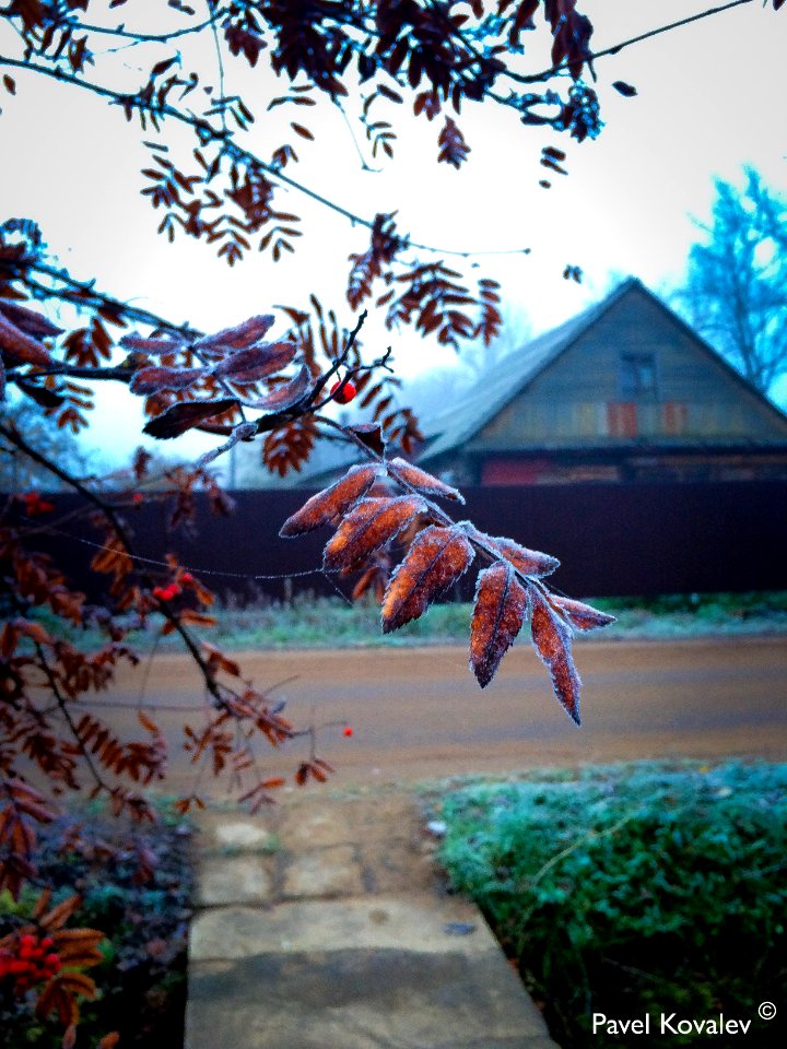 Good morning!