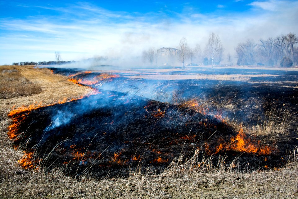 Pompeys Pillar Rx Burn March 2020