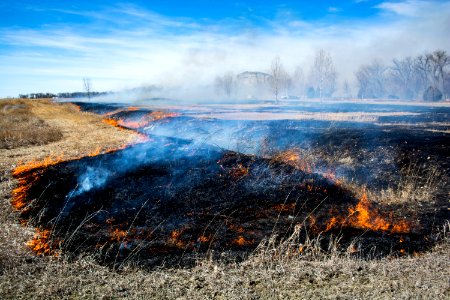 Pompeys Pillar Rx Burn March 2020