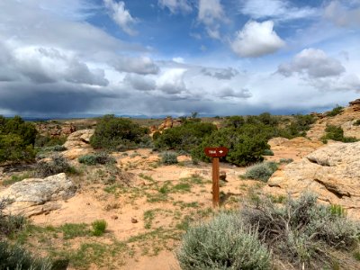 Petroglyph Canyon