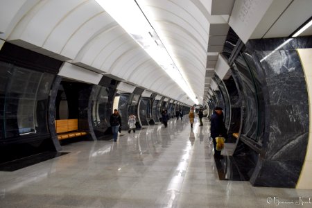 savelovsckaya metro station photo