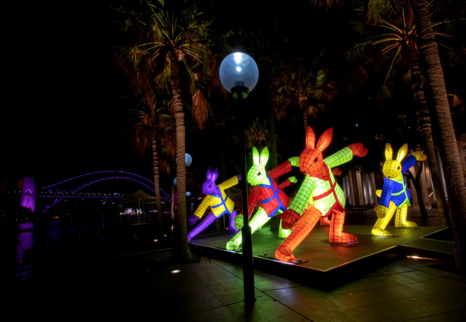 Rabbit @ Lunar New Year at Sydney Lunar Festival 2019