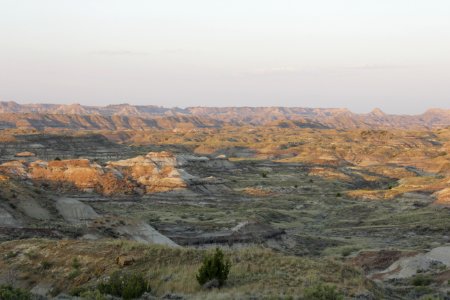 TerryBadlands24