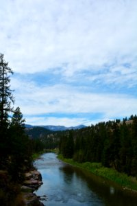 blackfoot1