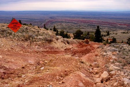 20200504 Pryor Mtns 100