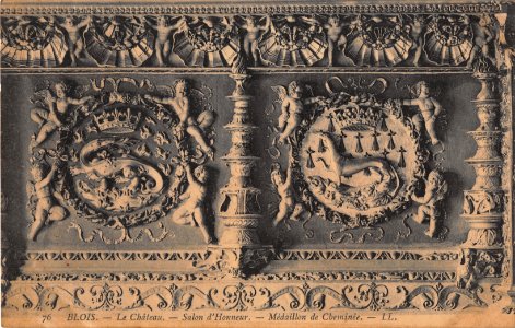 76 BLOIS - LE CHATEAU - SALON D'HONNEUR