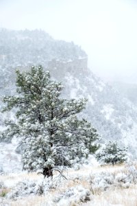 Four Dances Natural Area, Billings, Montana