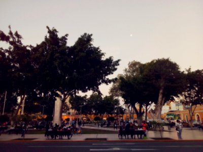 La plaza y la Luna