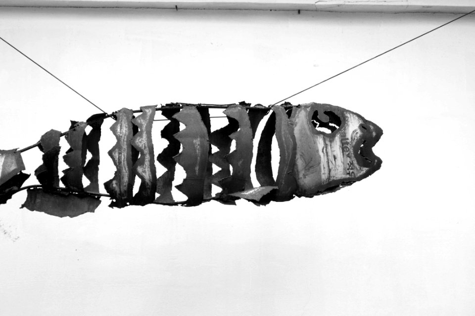 Fish Art 물고기 모양 설치 미술품