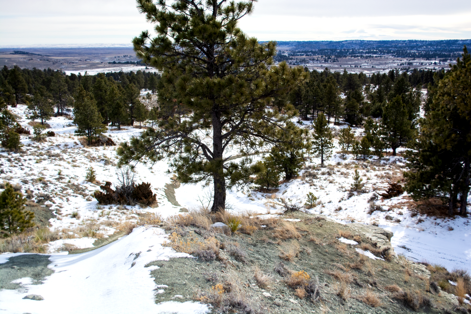 Acton Recreation Area