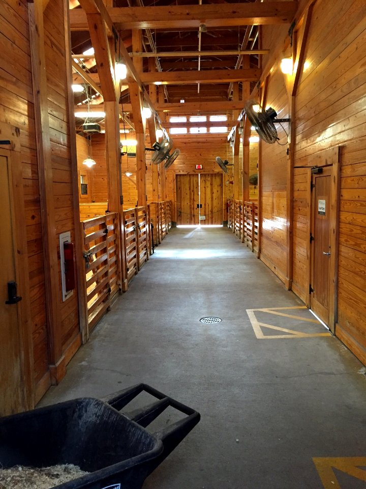 Children's Zoo barn