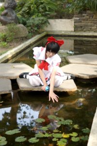 DSC04034