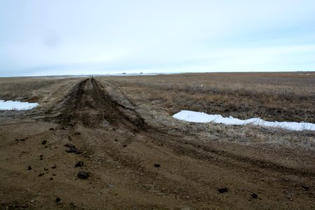 DSC 0026