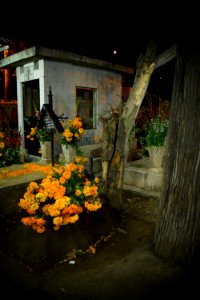DSC 0480